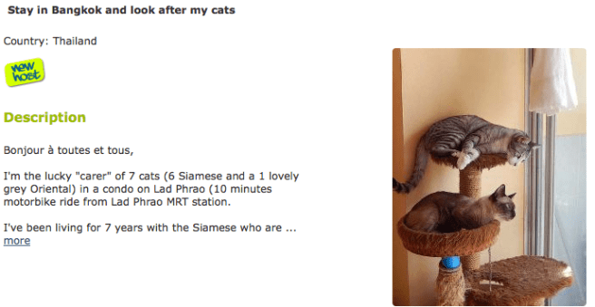 Screen Shot 2014-09-30 at 19.37.09