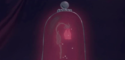 The-Rose-beauty-and-the-beast-27579664-490-238