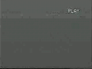 tumblr_lc5nfiY8DB1qz8uqoo1_500