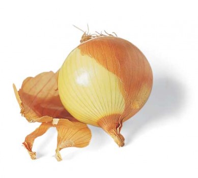 gullök_l_ed_500x449_120103-389x350