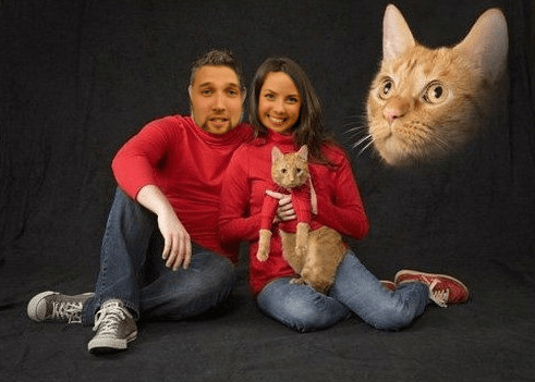 Skärmavbild 2016-07-20 kl. 20.29.53.png