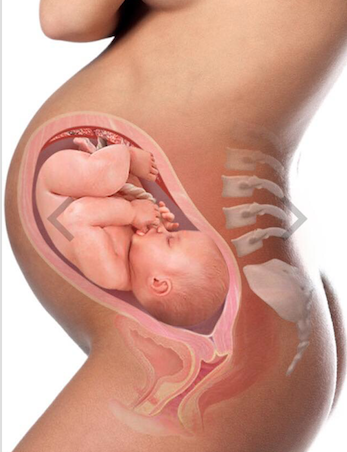 Skärmavbild 2018-08-04 kl. 10.27.37