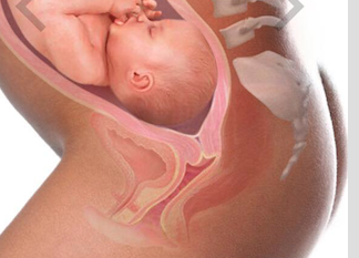 Skärmavbild 2018-08-04 kl. 10.27.57